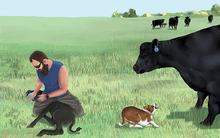 Interior spread, pp 20-21 from Skippy Farm Dog of the Year
